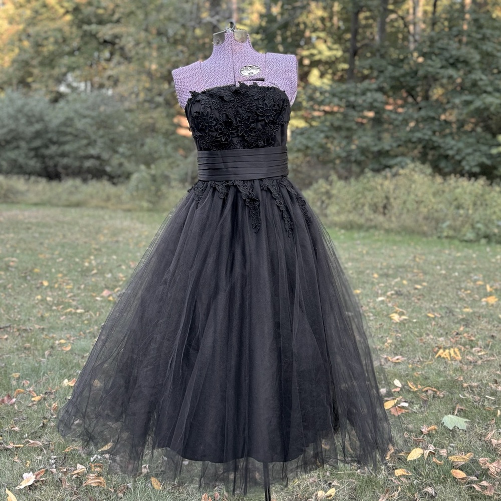 Y2K ABS by Allen Schwartz Collection Formal Tulle Ball Gown floral appliqué Sz 4